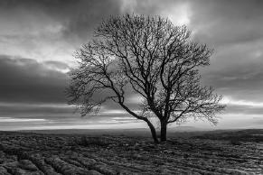 image from Las crisis del Merval